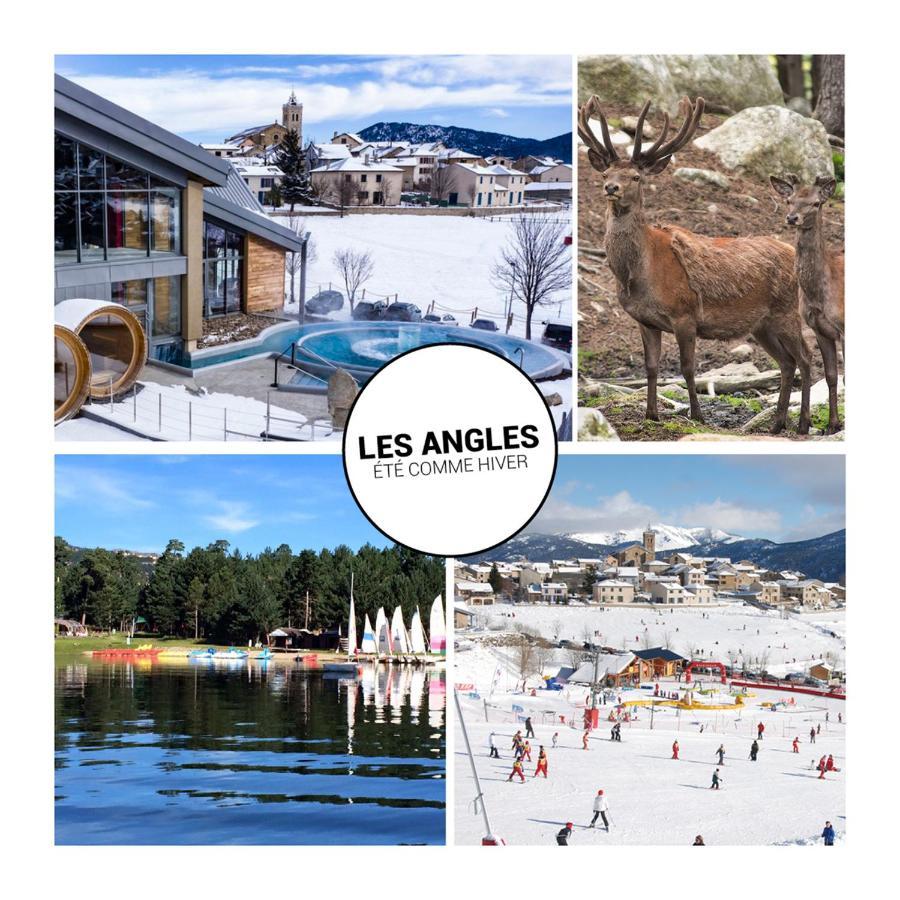 Le Petit Ours & Le Petit Cerf - Studios Vue Lac & Montagnes Les Angles  Bagian luar foto